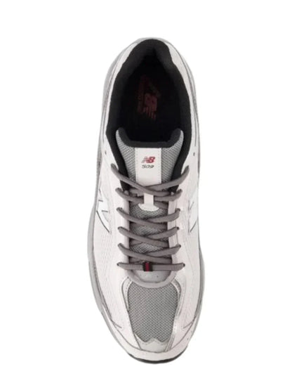 509 grey matter white